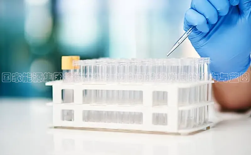 欧亿体育app安装方法详解